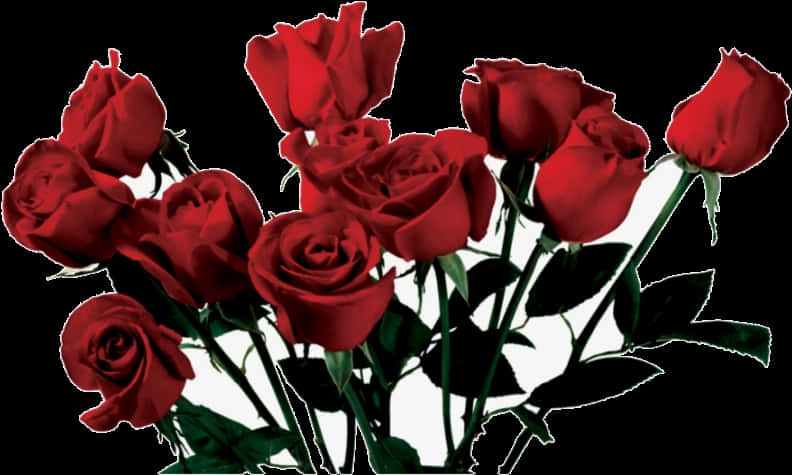 Vibrant_ Red_ Roses_ Bouquet PNG Image