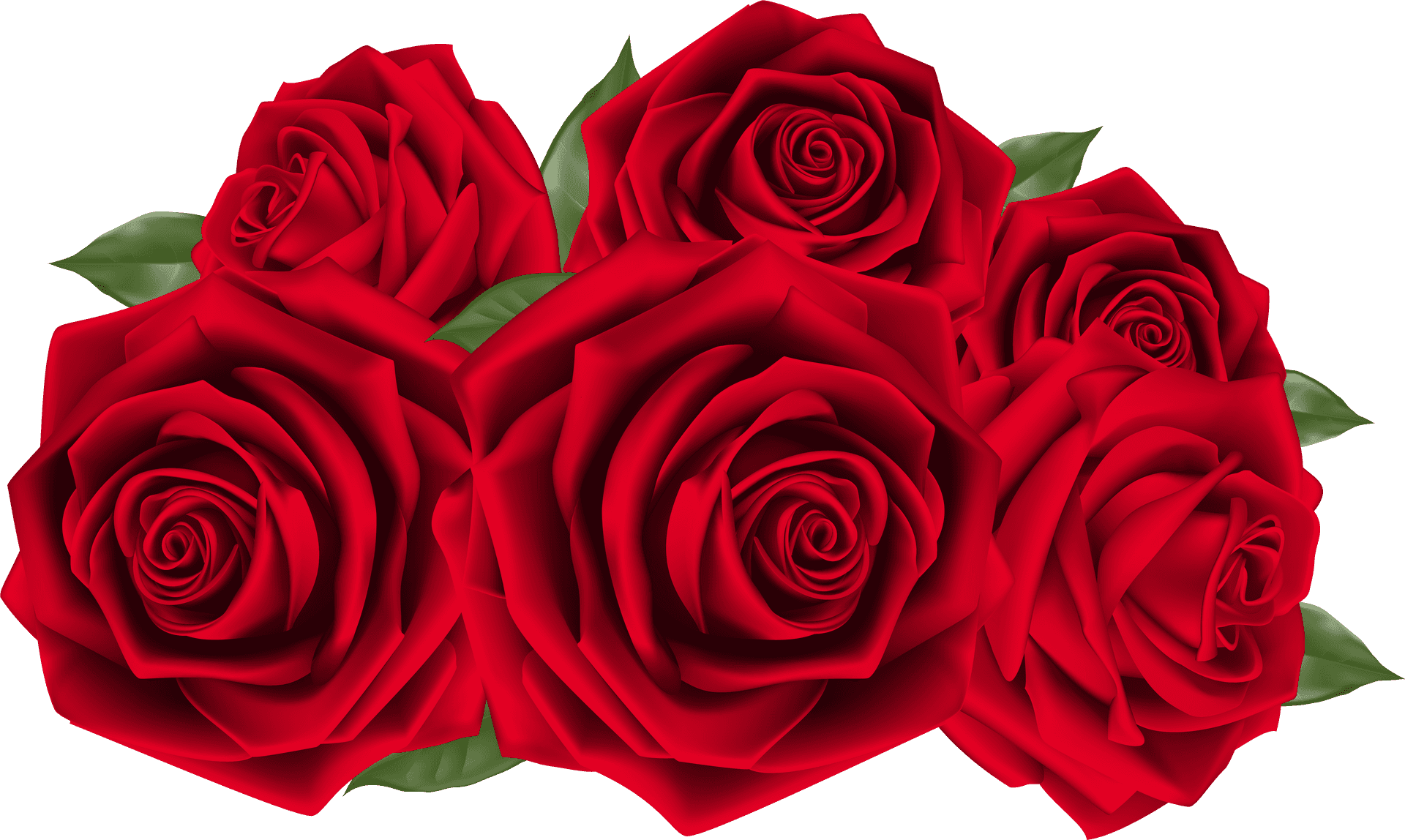 Vibrant Red Roses Bouquet PNG Image