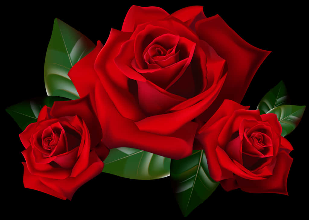 Vibrant Red Roseson Black PNG Image