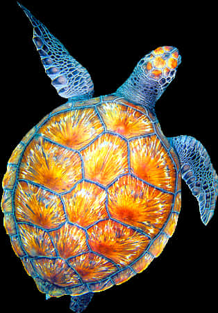 Vibrant Sea Turtle Swimming PNG Image