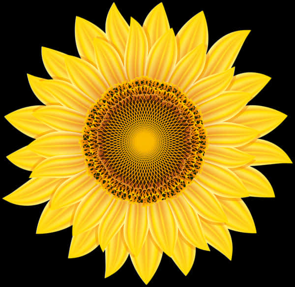 Vibrant Sunflower Against Black Background PNG Image