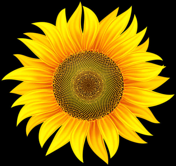 Vibrant Sunflower Black Background PNG Image