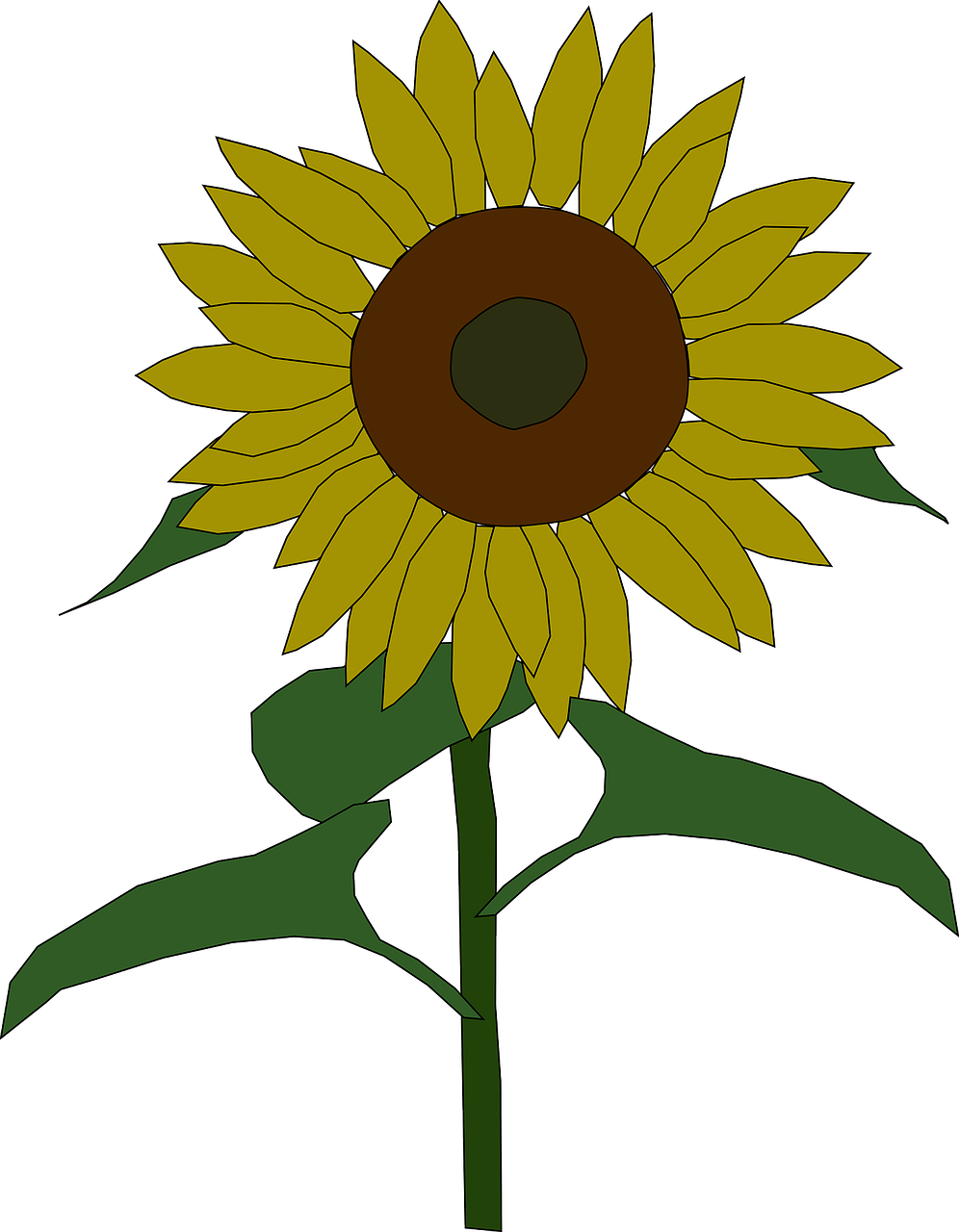 Vibrant Sunflower Clipart PNG Image