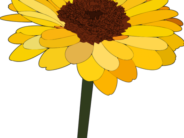 Vibrant Sunflower Clipart PNG Image