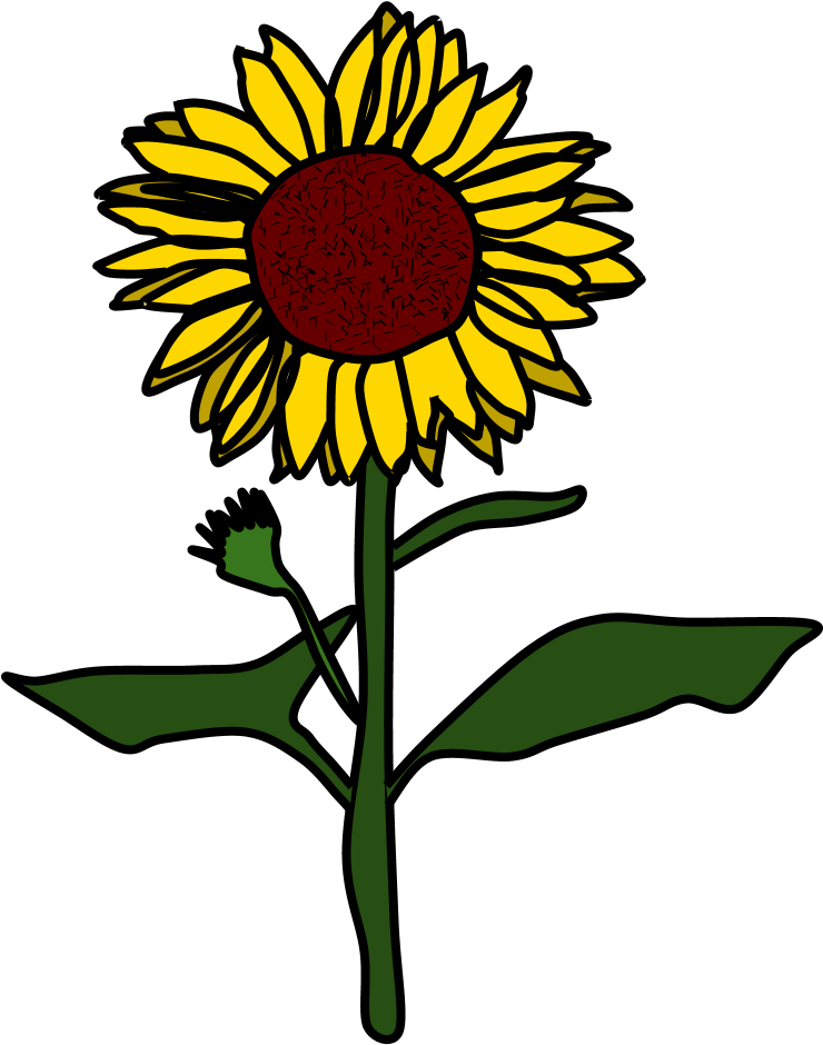 Vibrant Sunflower Clipart PNG Image