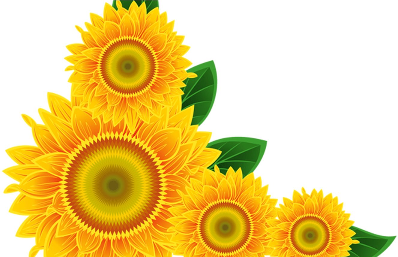 Vibrant Sunflower Corner Design PNG Image