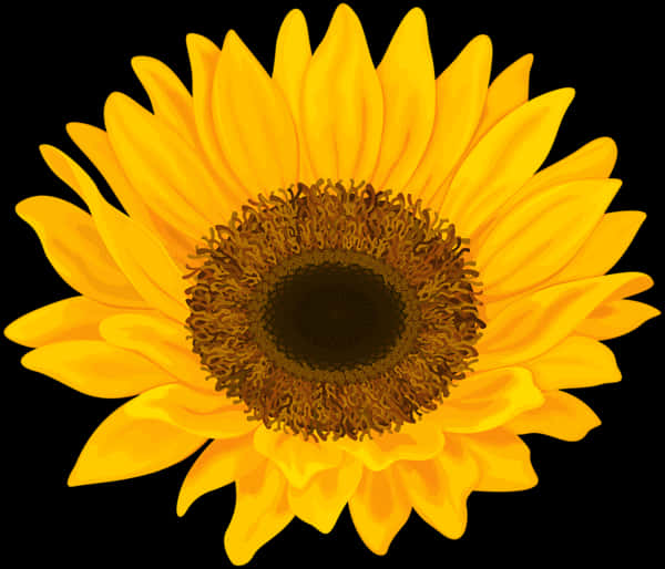 Vibrant Sunflower Illustration PNG Image