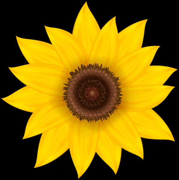 Vibrant Sunflower Illustration PNG Image