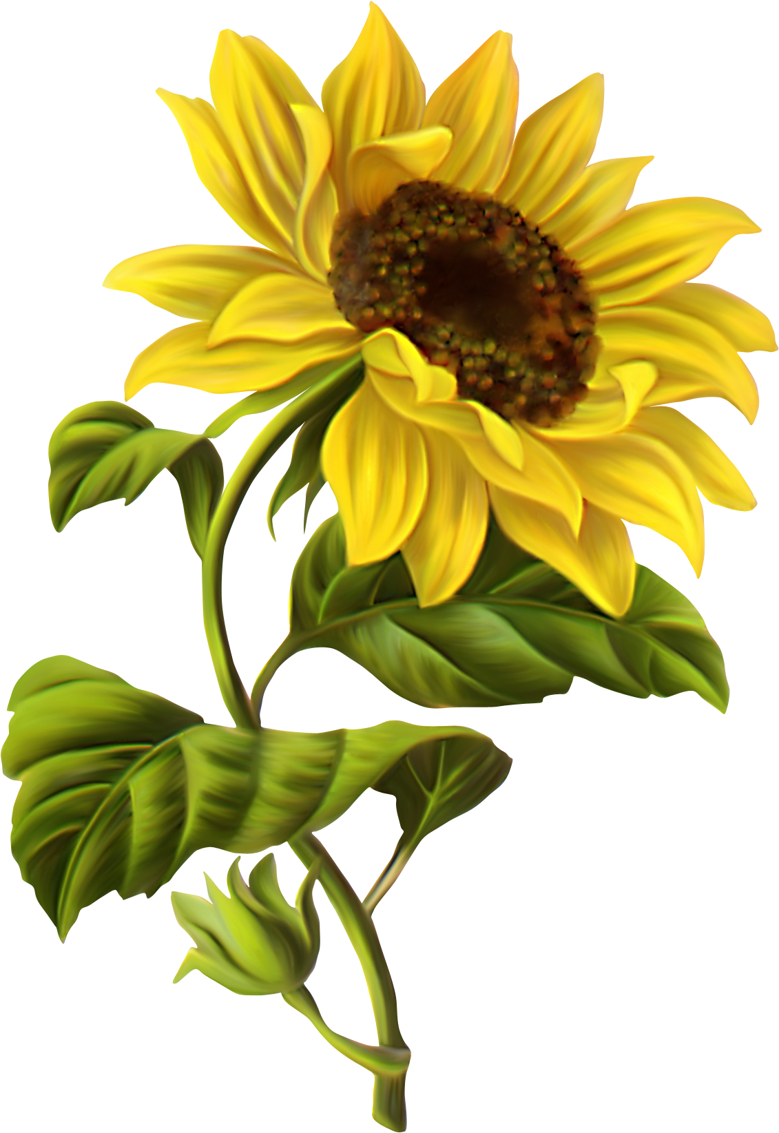 Vibrant Sunflower Illustration PNG Image