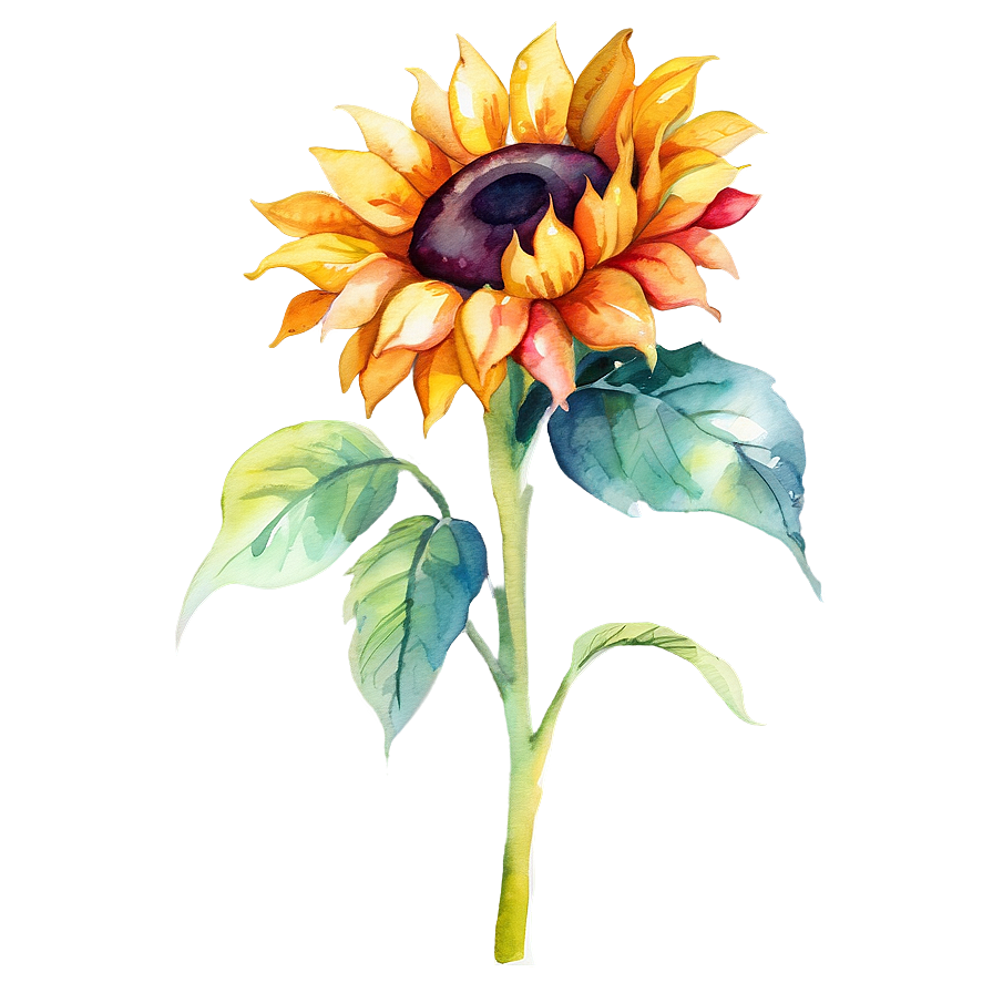 Vibrant Sunflower Watercolor Graphic Png 06272024 PNG Image