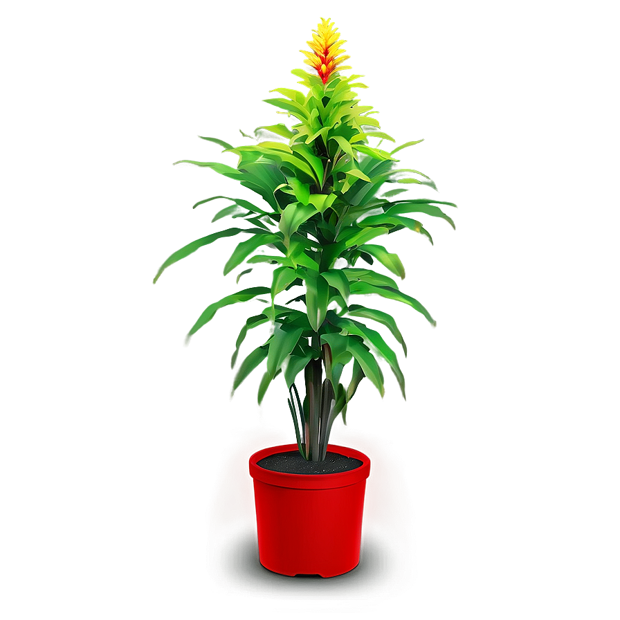 Vibrant Tall Plant Png 06282024 PNG Image