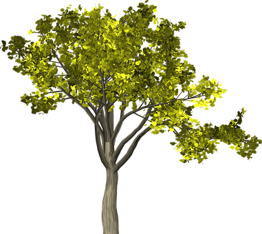 Vibrant Tree Black Background PNG Image