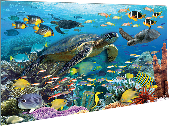 Vibrant_ Underwater_ Scene.jpg PNG Image