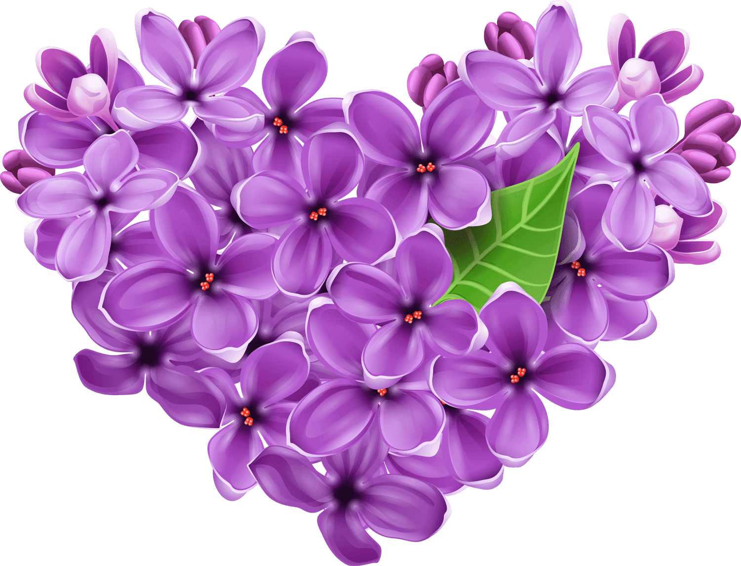 Vibrant Violet Lilac Flowers PNG Image