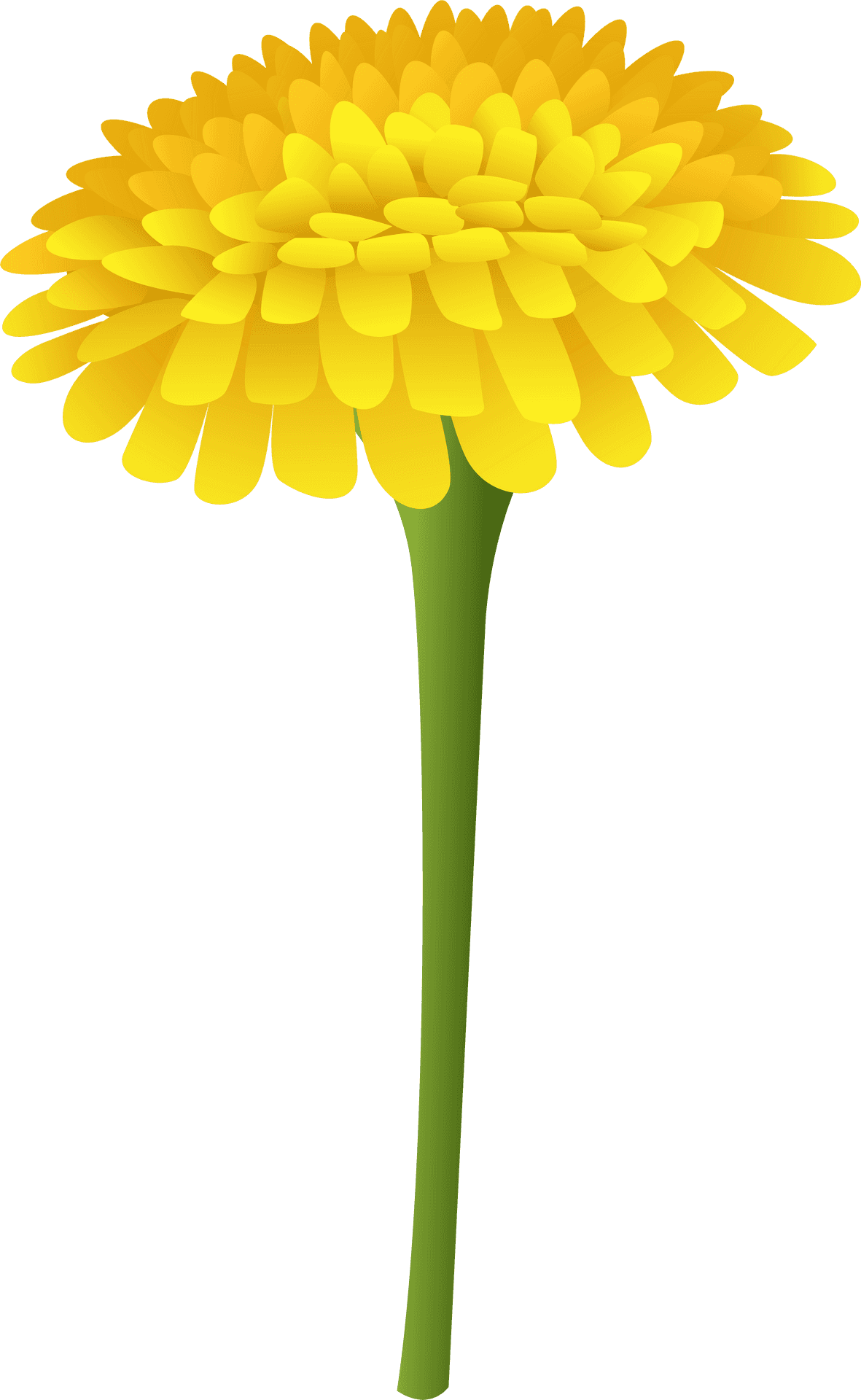 Vibrant Yellow Marigold Graphic PNG Image