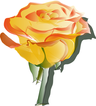 Vibrant Yellow Orange Rose Art PNG Image