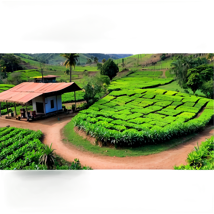 Village Tea Garden Png Hax PNG Image