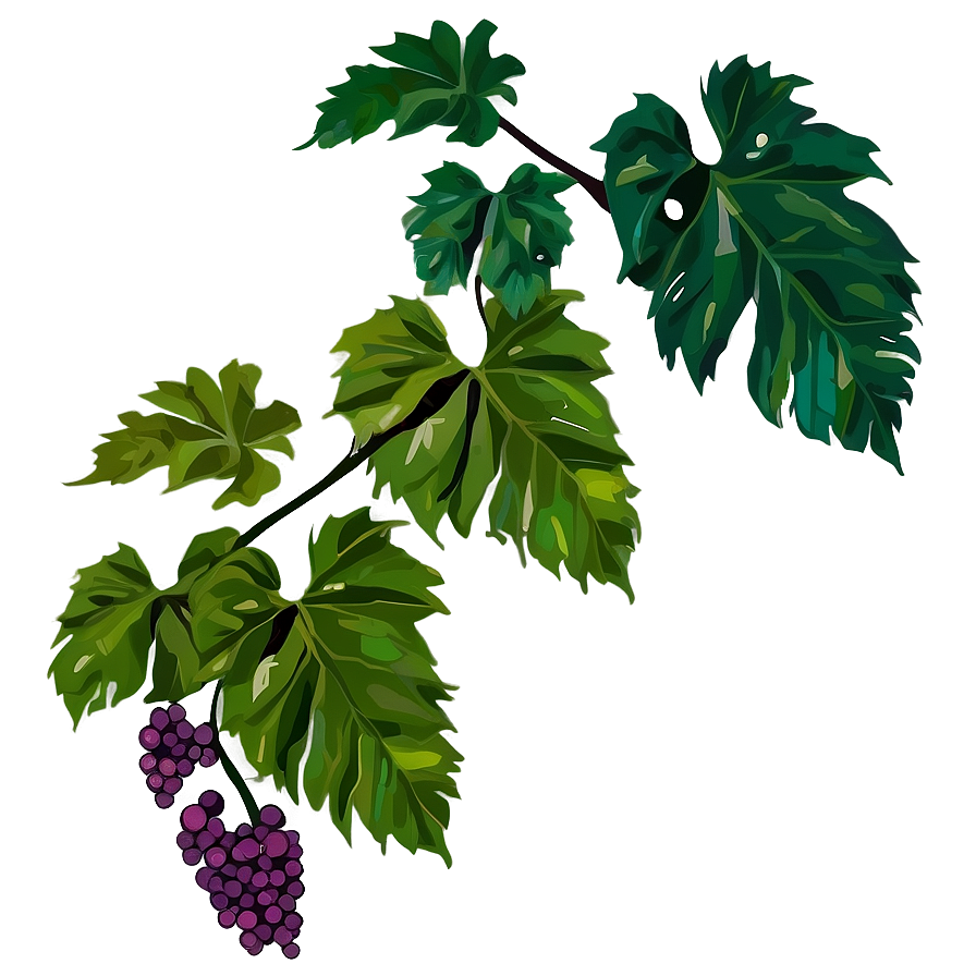 Vine Plants Png Fxv18 PNG Image