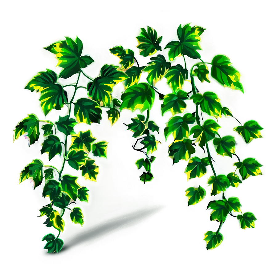 Vines B PNG Image