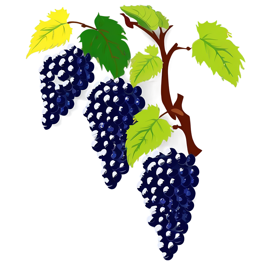 Vineyard Grape Vine Png 05042024 PNG Image