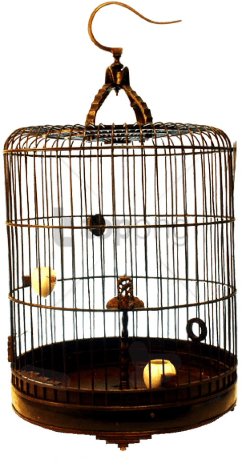 Vintage Bird Cage PNG Image