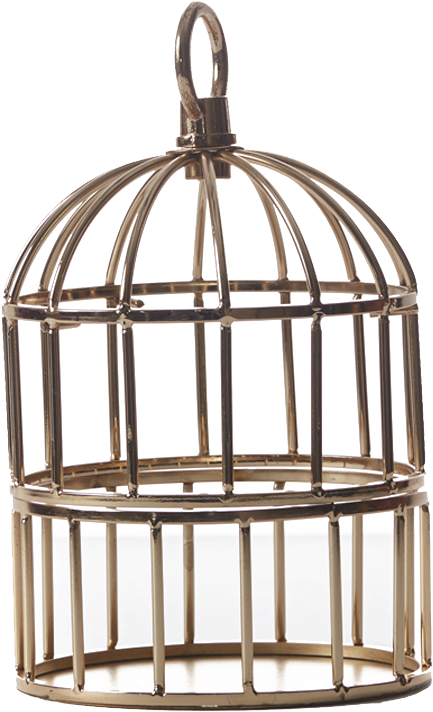 Vintage Birdcage Design PNG Image