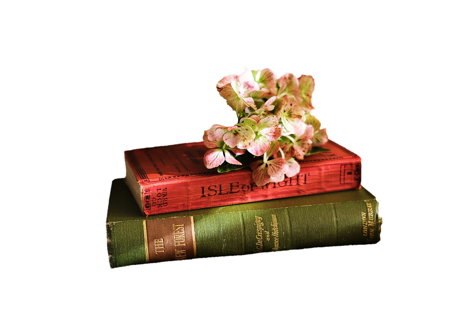 Vintage Bookswith Flowers PNG Image