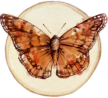 Vintage Butterfly Illustration PNG Image