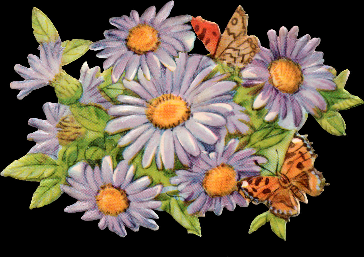 Vintage Daisyand Butterflies Illustration PNG Image