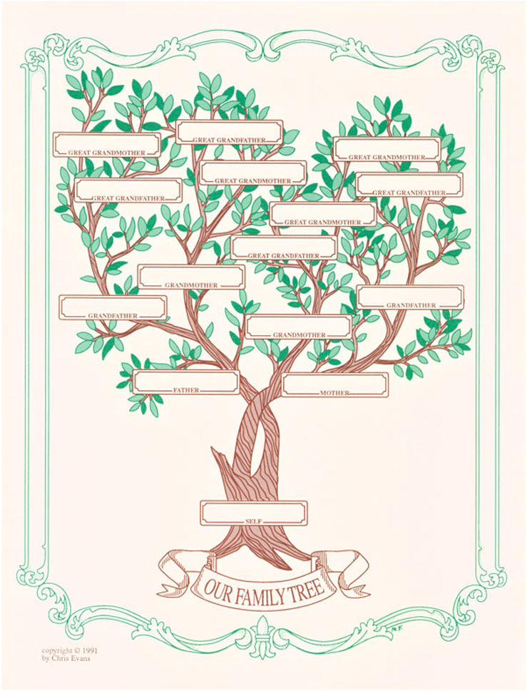 Vintage Family Tree Illustration PNG Image