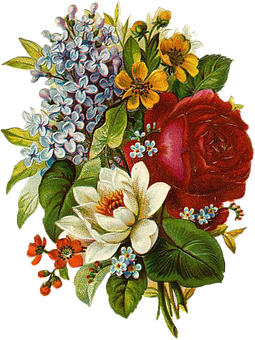 Vintage Floral Bouquet Illustration PNG Image