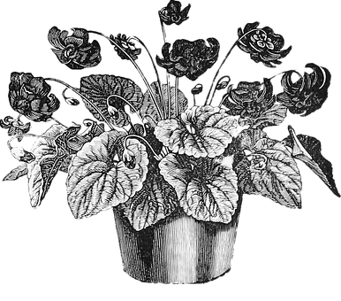 Vintage Floral Pot Illustration PNG Image