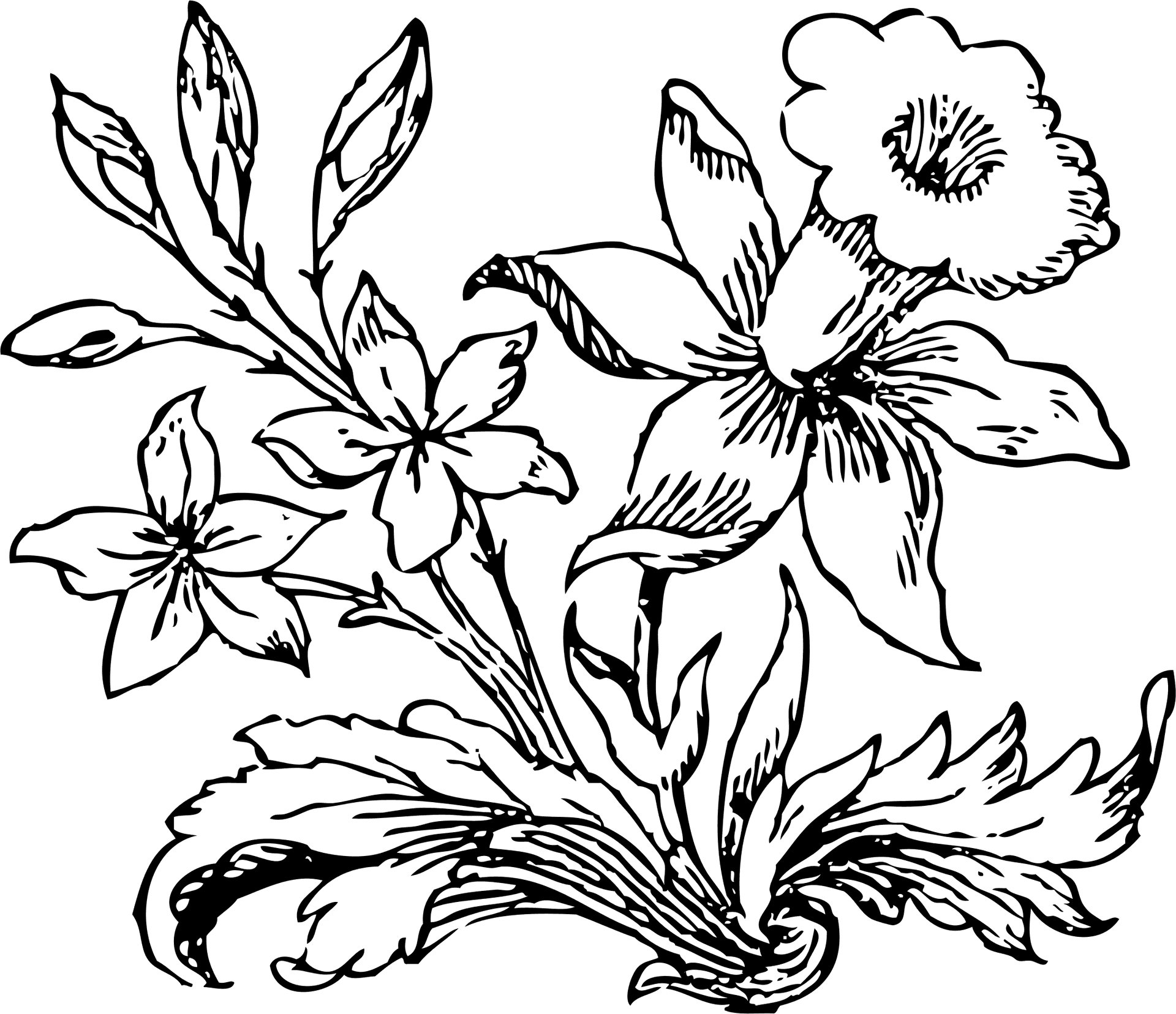 Vintage Floral Sketch PNG Image