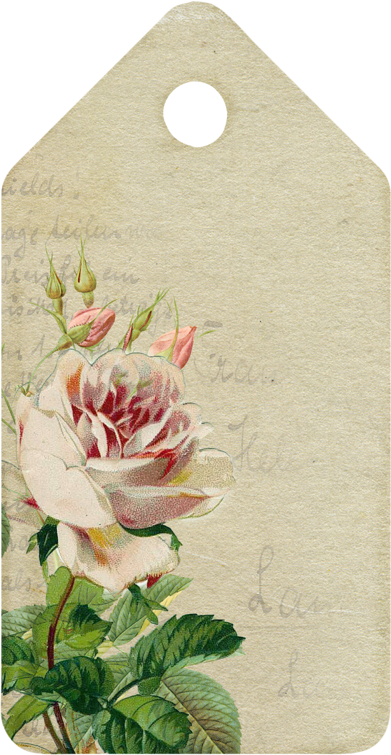 Vintage Floral Tag Design PNG Image