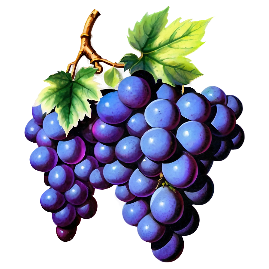 Vintage Grape Png Yuy9 PNG Image