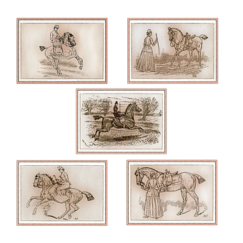 Vintage Horse Illustrations Collage PNG Image