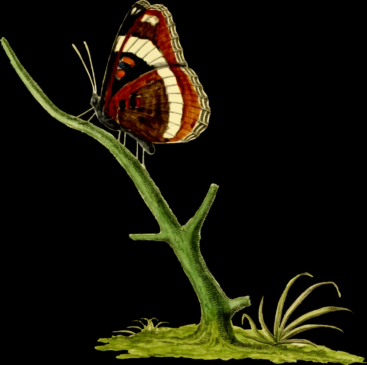 Vintage_ Illustrated_ Butterfly_ Perched PNG Image