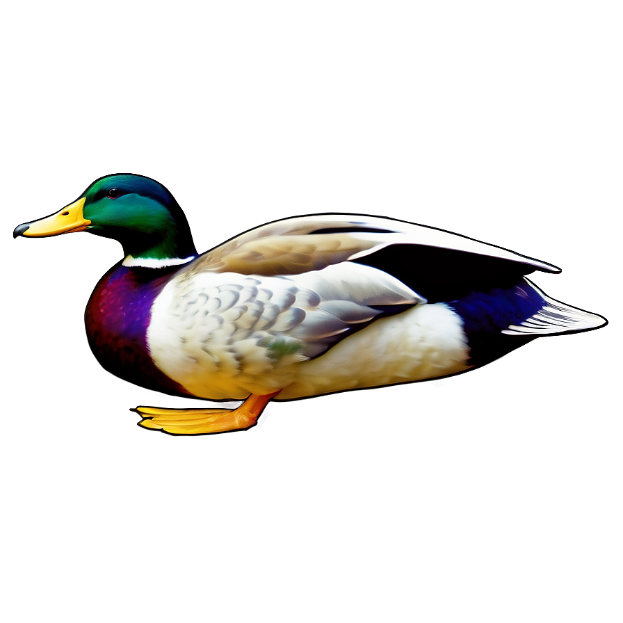 Vintage Mallard Duck Png Ari PNG Image