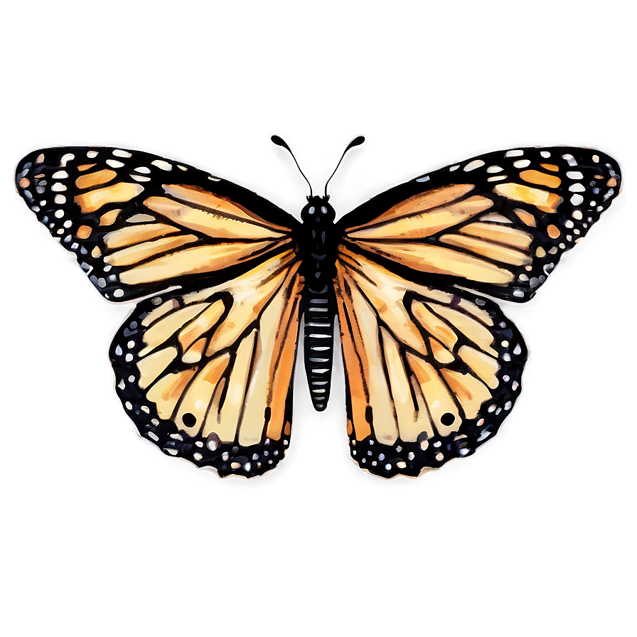 Vintage Monarch Butterfly Png 05252024 PNG Image