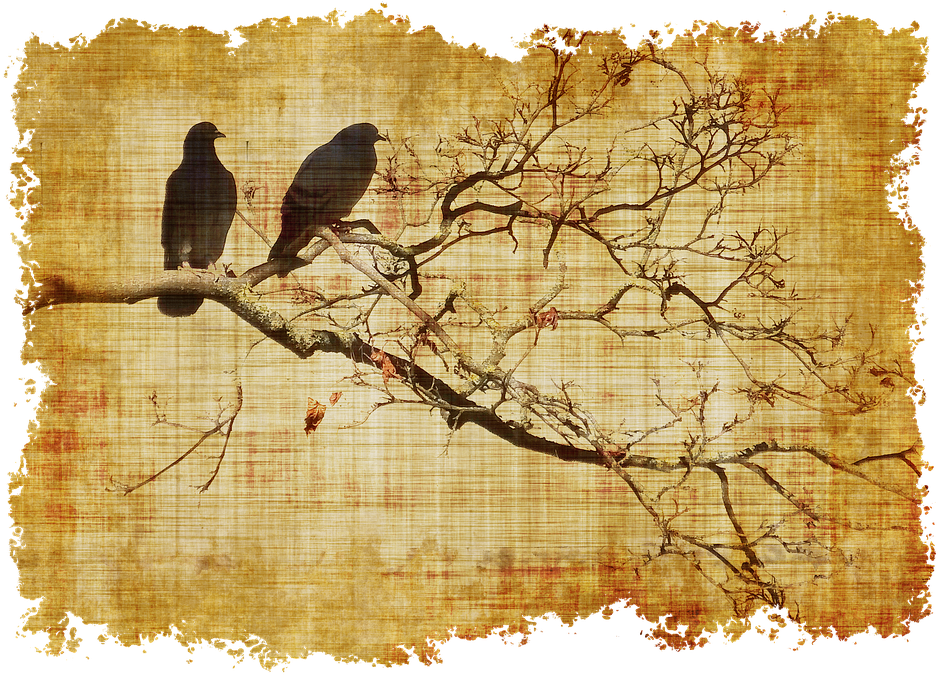 Vintage Parchment Birds Silhouette PNG Image