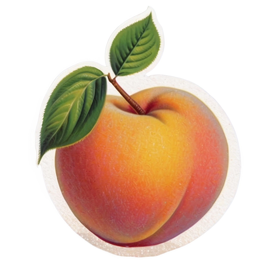 Vintage Peach Poster Png Vaj45 PNG Image