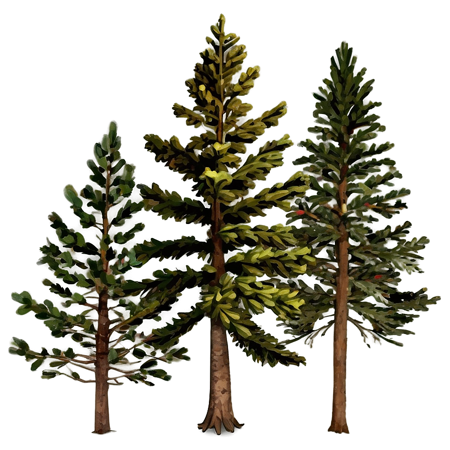 Vintage Pine Trees Png Hko PNG Image