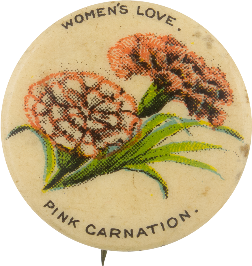 Vintage Pink Carnation Pinback PNG Image