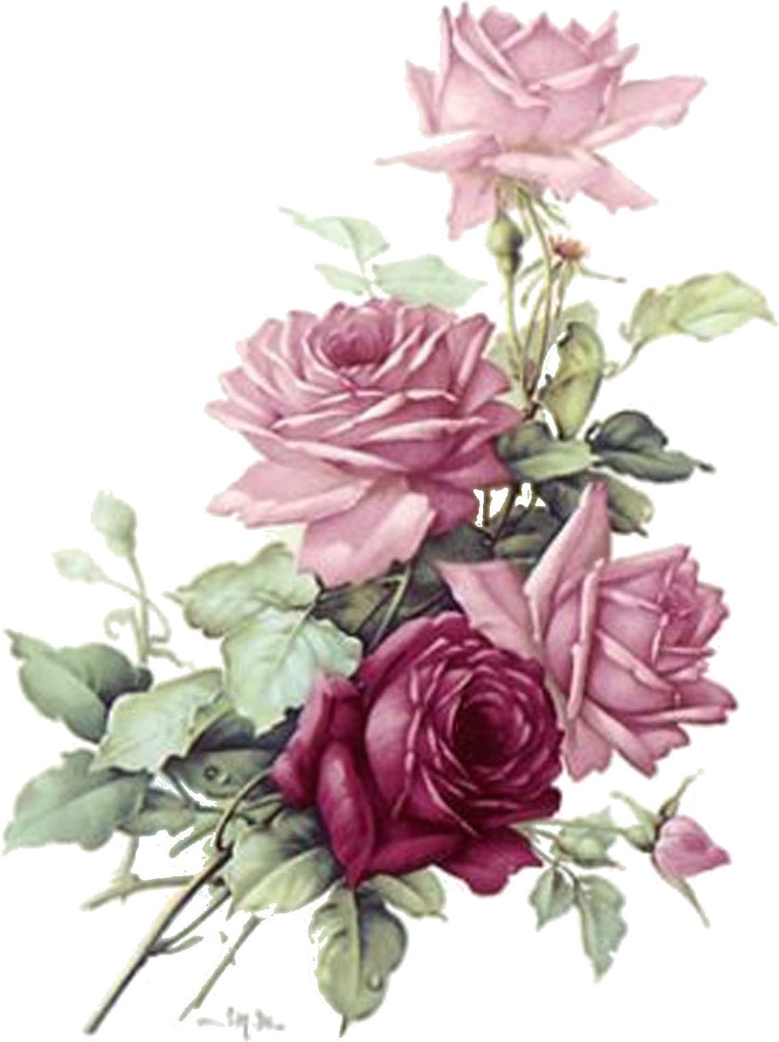 Vintage Pink Roses Bouquet PNG Image