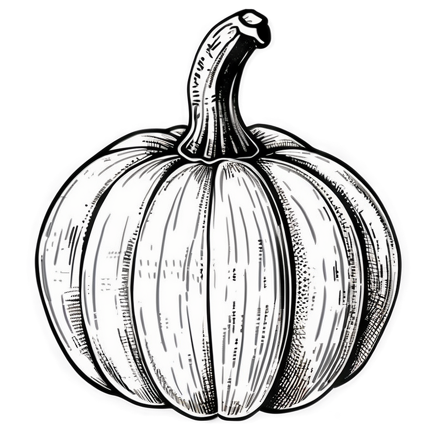 Vintage Pumpkin Outline Picture Png 06202024 PNG Image