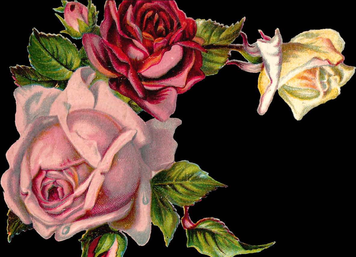 Vintage Rose Corner Design PNG Image