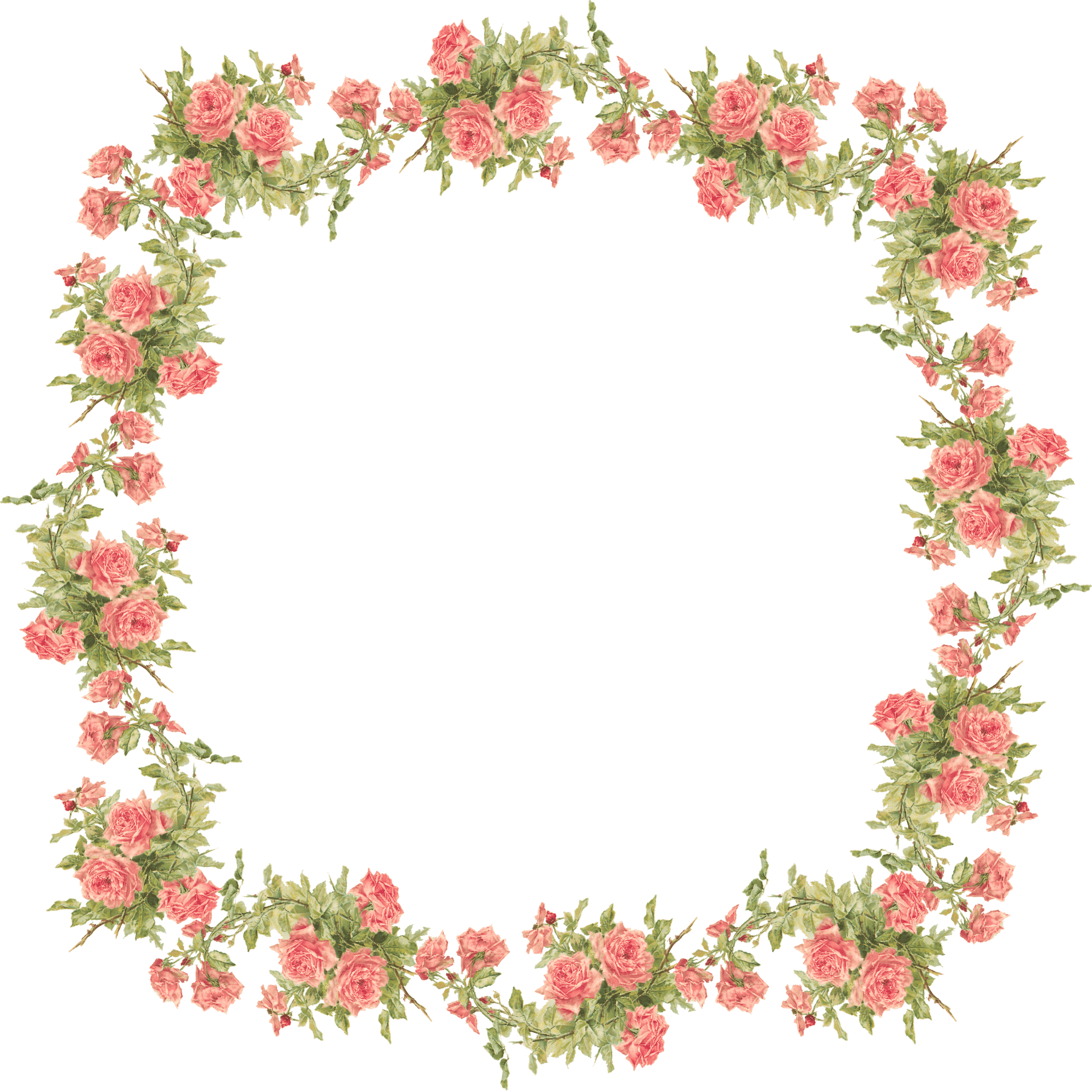 Vintage Rose Frame Design PNG Image