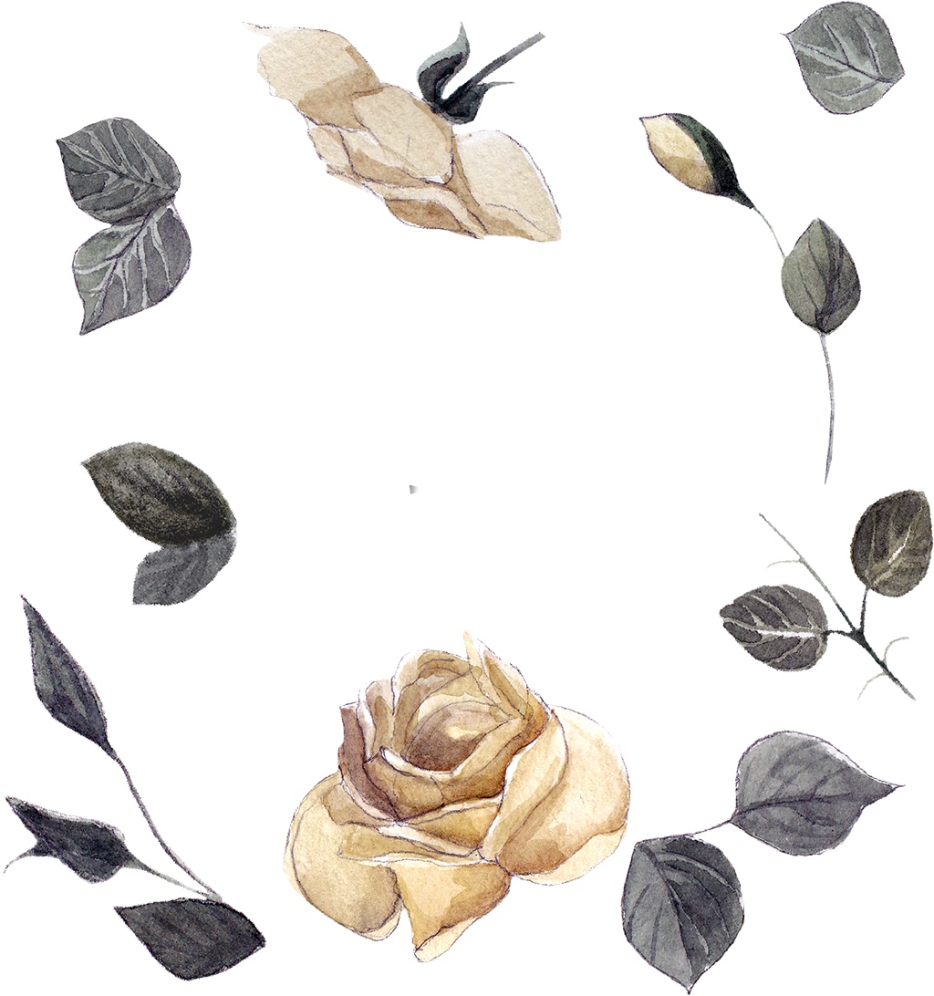 Vintage Rose Sketch Design PNG Image