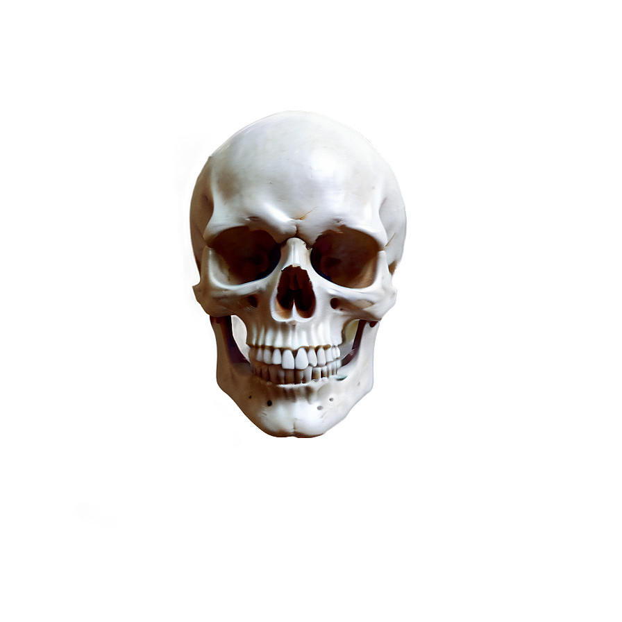 Vintage Skull Face Rendering Png Hge PNG Image