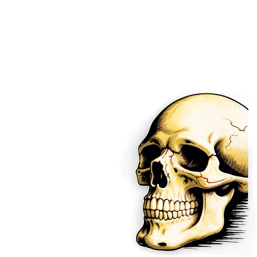 Vintage Skull Graphic Png A PNG Image